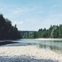 Dominik's picture