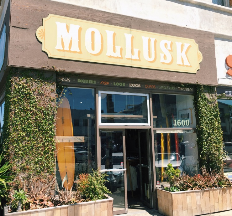 Mollusk Surf Shop | kollekkt